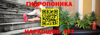 соль ск Кингисепп